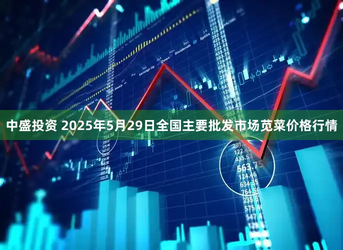 中盛投资 2025年5月29日全国主要批发市场苋菜价格行情