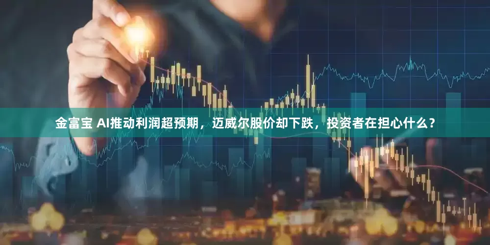 金富宝 AI推动利润超预期，迈威尔股价却下跌，投资者在担心什么？