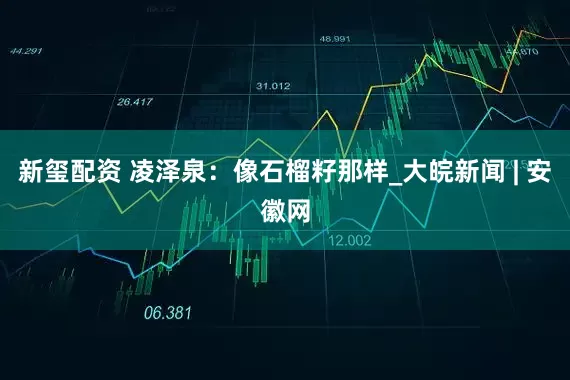 新玺配资 凌泽泉：像石榴籽那样_大皖新闻 | 安徽网