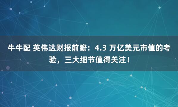 牛牛配 英伟达财报前瞻：4.3 万亿美元市值的考验，三大细节值得关注！